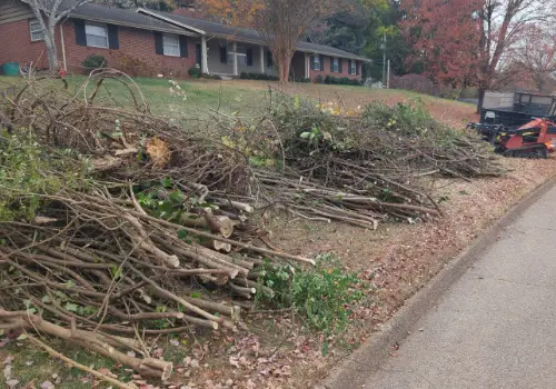 Brush Clearing